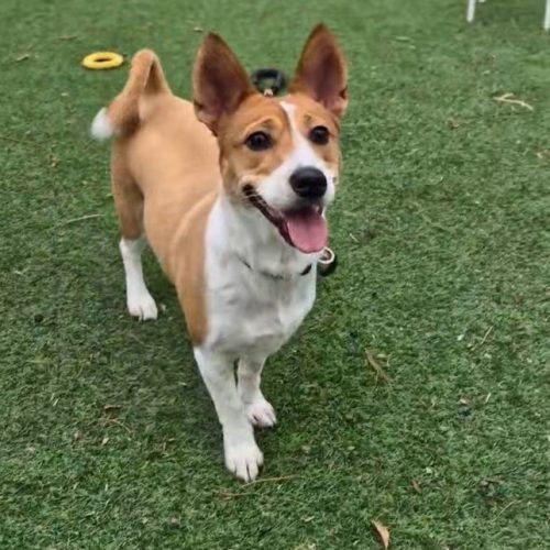 KakaoTalk_20250717_142749974